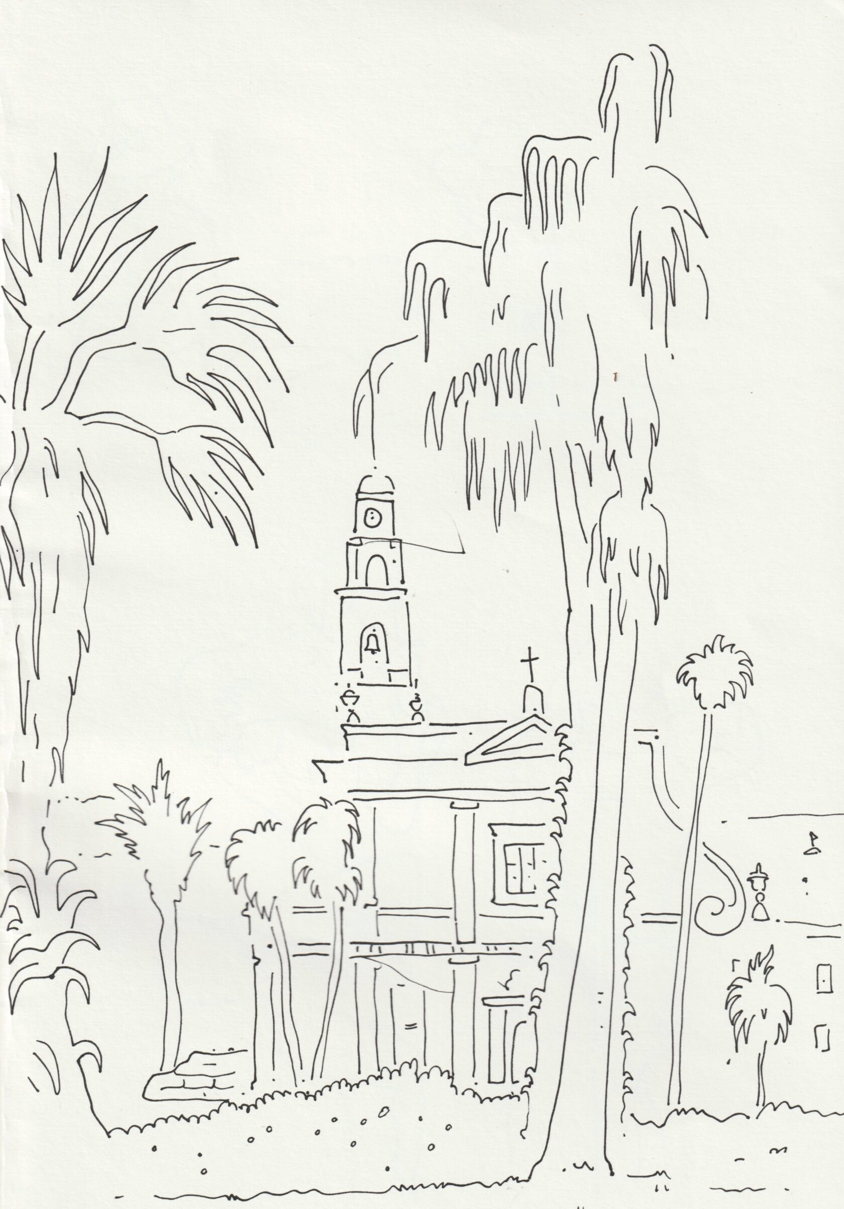 Illustration by Hannah Heifetz