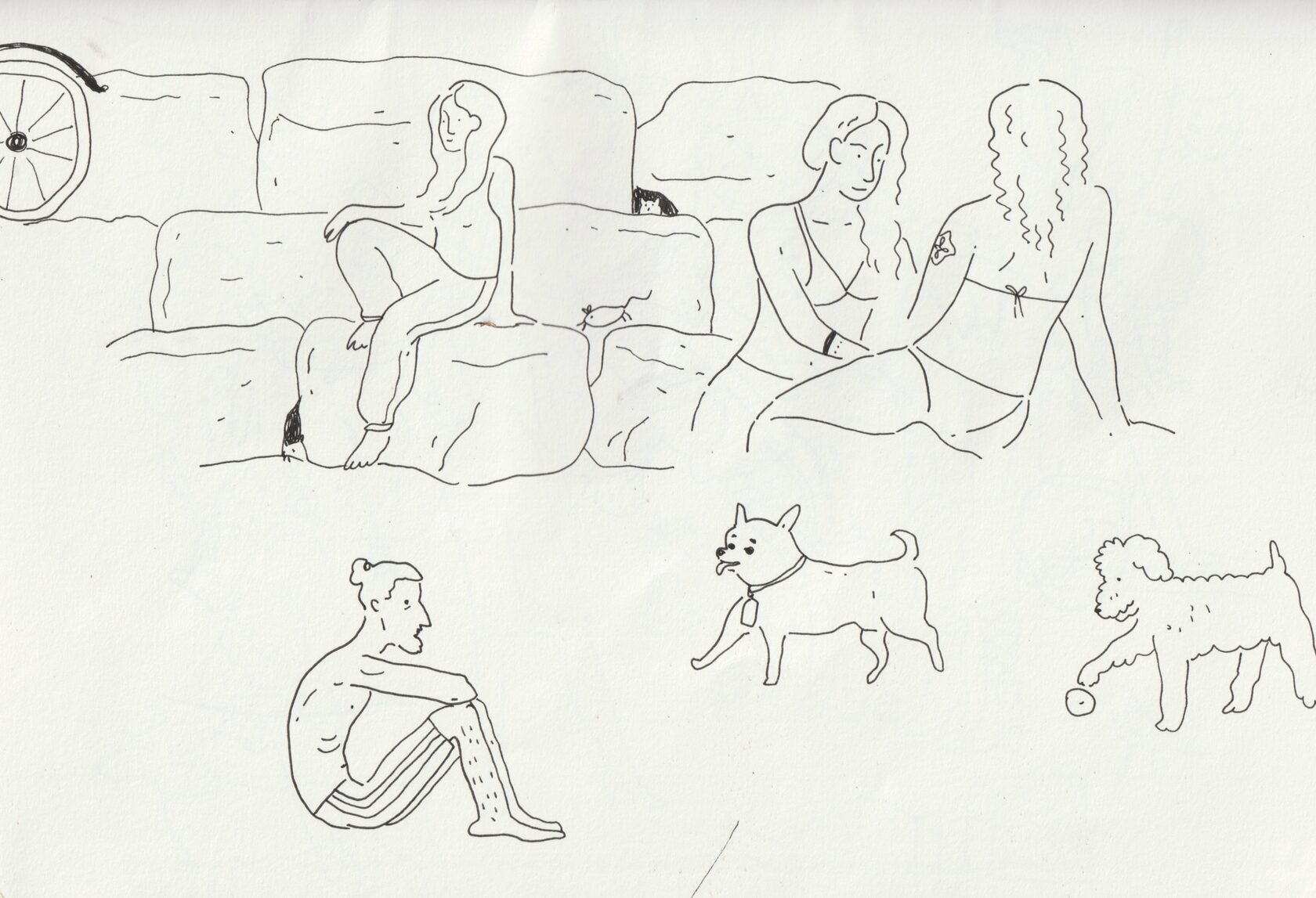 Illustration by Hannah Heifetz