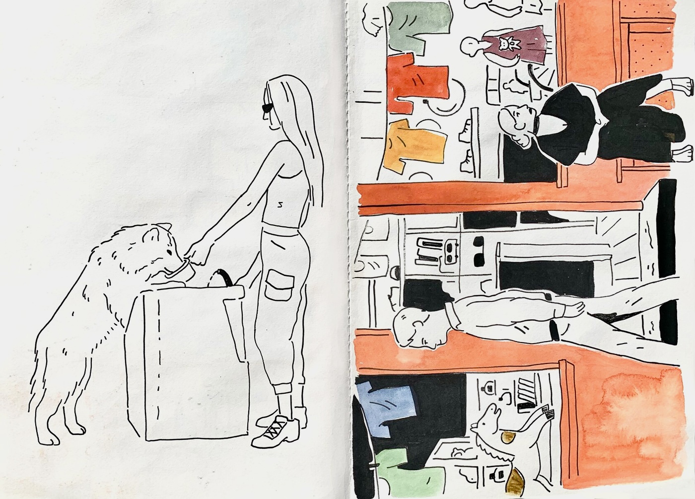 Illustration by Hannah Heifetz